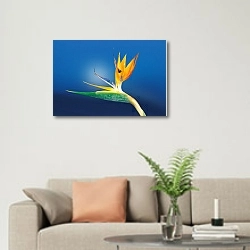 «Cтрелиция, райскbq цветок» в интерьере современной светлой гостиной над диваном