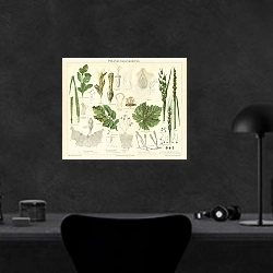 «Pflanzenkrankheiten» в интерьере кабинета в черном цвете