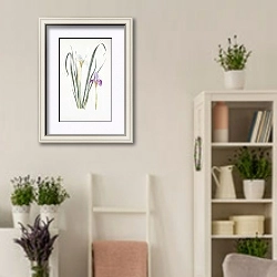 «Iris unguicularis» в интерьере комнаты в стиле прованс с цветами лаванды