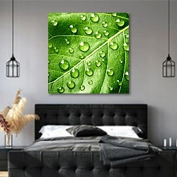 «Зеленый лист с каплями воды 2» в интерьере современной спальни с черной кроватью
