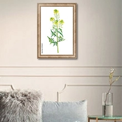 «Ветка с цветами дикого растения Белая горчица» в интерьере в классическом стиле в светлых тонах