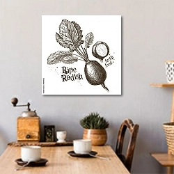 «Иллюстрация с редькой» в интерьере кухни над обеденным столом с кофемолкой