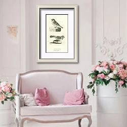 «Sparrow Finch, Tree Finch 1» в интерьере гостиной в стиле прованс над диваном