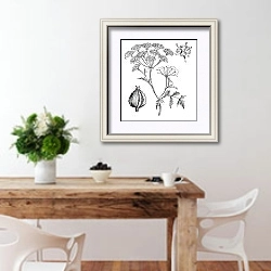«Hemlock or Poison Hemlock or Conium maculatum vintage engraving» в интерьере кухни с деревянным столом