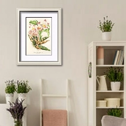 «Chysis Limmingbei» в интерьере комнаты в стиле прованс с цветами лаванды