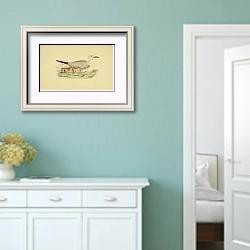 «Slender-Billed Gull» в интерьере коридора в стиле прованс в пастельных тонах