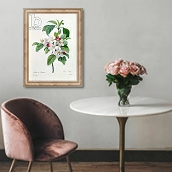 «Apple Blossom, from 'Les Choix des Plus Belles Fleurs', engraved by Chapuy» в интерьере в классическом стиле над креслом