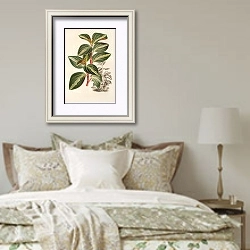 «Peperomia velutina» в интерьере спальни в стиле прованс над кроватью