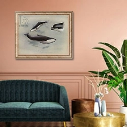 «Lesser Rorqual, Rudolphi's Rorqual, Bottle-nosed Whale» в интерьере классической гостиной над диваном