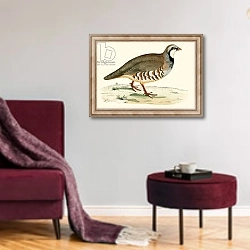 «Red Legged Partridge» в интерьере гостиной в бордовых тонах