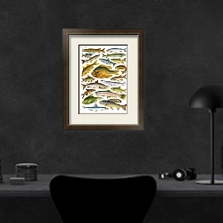 «Fresh-water Fish - Canadian» в интерьере кабинета в черных цветах над столом