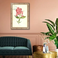 «Everlasting Pea» в интерьере классической гостиной над диваном