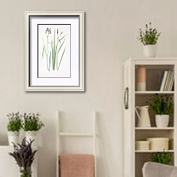 «Iris prismatica» в интерьере комнаты в стиле прованс с цветами лаванды