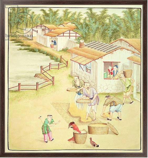 Постер Chinese Peasants Sifting Rice с типом исполнения На холсте в раме в багетной раме 221-02