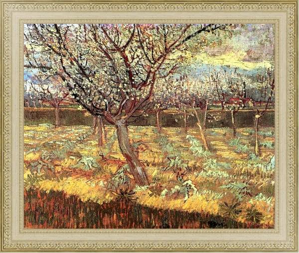 Постер Абрикосовые деревья в цвету с типом исполнения На холсте в раме в багетной раме 484.M48.725