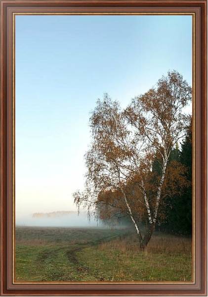 Постер Туманное утро 2 с типом исполнения На холсте в раме в багетной раме 35-M719P-83