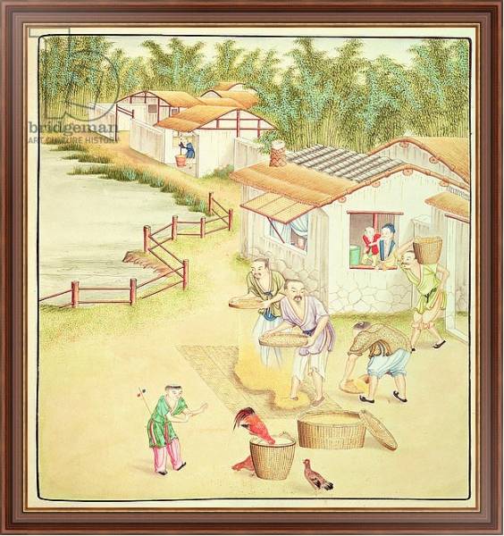 Постер Chinese Peasants Sifting Rice с типом исполнения На холсте в раме в багетной раме 35-M719P-83