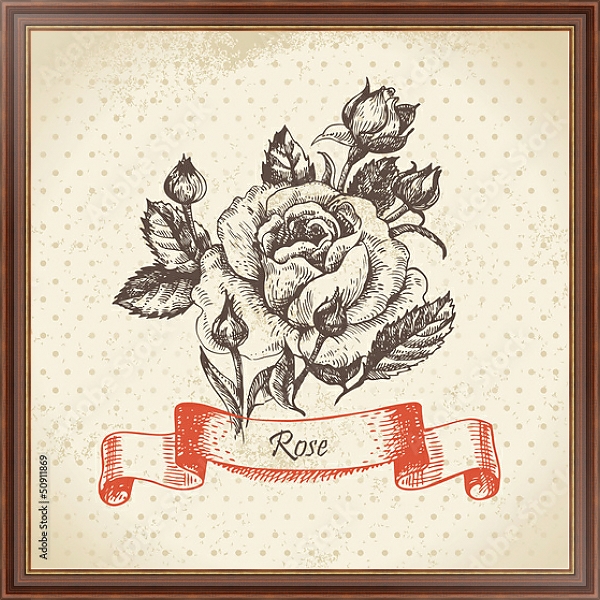 Постер Иллюстрация с розой и бутонами с типом исполнения На холсте в раме в багетной раме 35-M719P-83