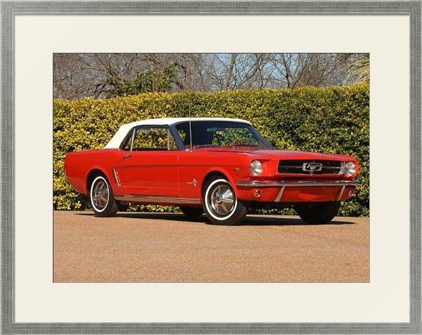 Постер Mustang Convertible '1964 с типом исполнения Под стеклом в багетной раме 1727.2510