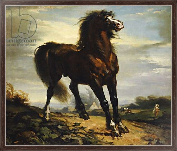 Постер The Horse с типом исполнения На холсте в раме в багетной раме 221-02