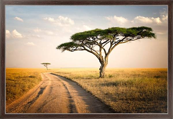Постер Африканский пейзаж, Танзания с типом исполнения На холсте в раме в багетной раме 221-02
