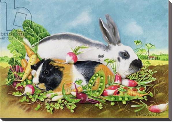 Постер Rabbit and Guinea Pig, 1998 с типом исполнения На холсте без рамы