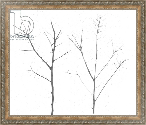 Постер territori innevati - due alberi giorno -2012, photographic contamination с типом исполнения На холсте в раме в багетной раме 484.M48.310