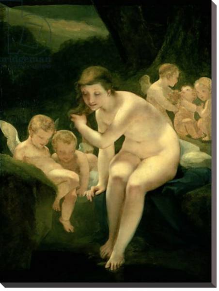 Постер Venus Bathing or Innocence с типом исполнения На холсте без рамы