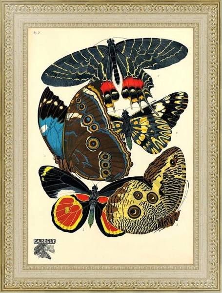 Постер Papillons by E. A. Seguy №12 с типом исполнения Акварель в раме в багетной раме 484.M48.725