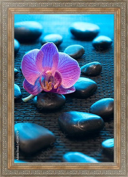 Постер Орхидея и камни 4 с типом исполнения На холсте в раме в багетной раме 484.M48.310