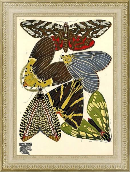 Постер Papillons by E. A. Seguy №6 с типом исполнения Акварель в раме в багетной раме 484.M48.725
