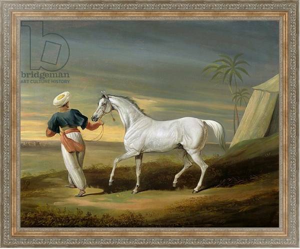 Постер Signal, a grey Arab, with a Groom in the Desert с типом исполнения На холсте в раме в багетной раме 484.M48.310