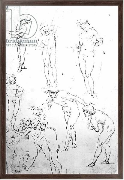 Постер Figural Studies for the Adoration of the Magi, c.1481 2 с типом исполнения На холсте в раме в багетной раме 221-02
