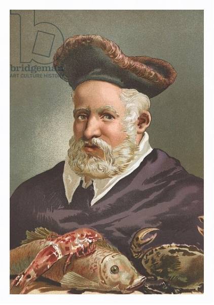 Постер Guillaume Rondelet с типом исполнения На холсте в раме в багетной раме 221-03