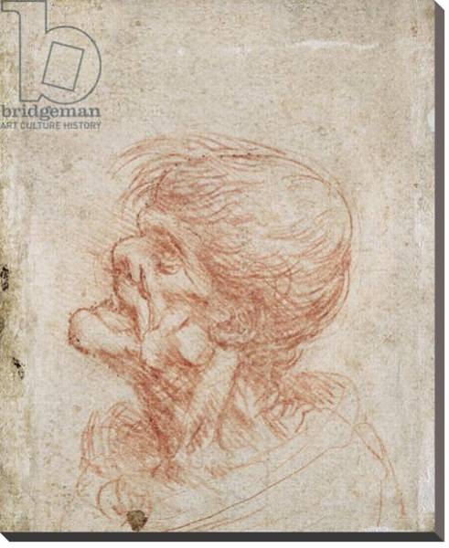 Постер Caricature Head Study of an Old Man, c.1500-05 с типом исполнения На холсте без рамы