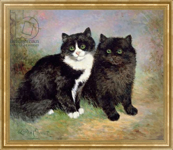Постер A Pair of Pussy Cats с типом исполнения На холсте в раме в багетной раме NA033.1.051