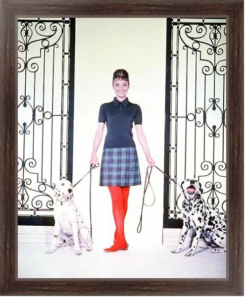 Постер Хепберн Одри 104 с типом исполнения На холсте в раме в багетной раме 221-02