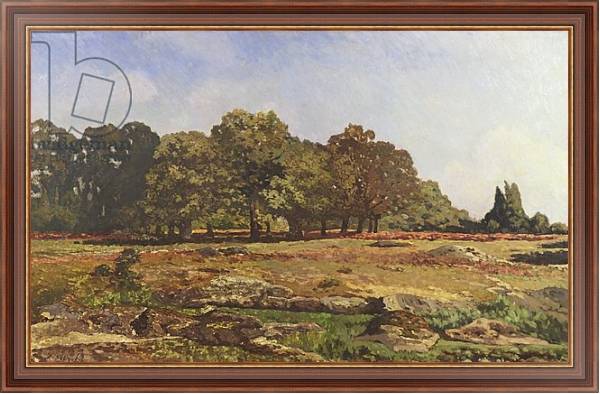 Постер Avenue of Chestnut Trees at La Celle-Saint-Cloud, c.1866-67 с типом исполнения На холсте в раме в багетной раме 35-M719P-83