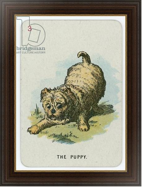 Постер The Puppy 2 с типом исполнения На холсте в раме в багетной раме 1.023.151