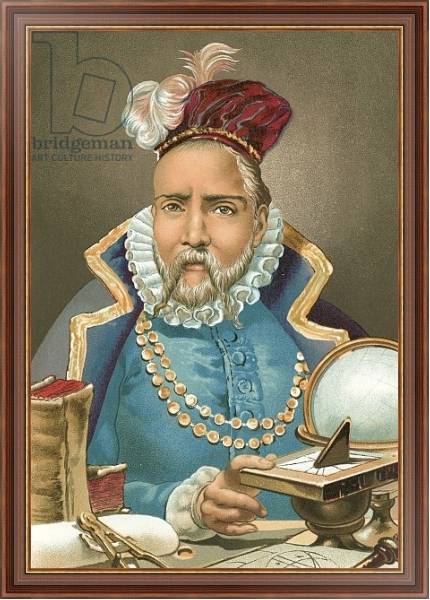 Постер Tycho Brahe с типом исполнения На холсте в раме в багетной раме 35-M719P-83