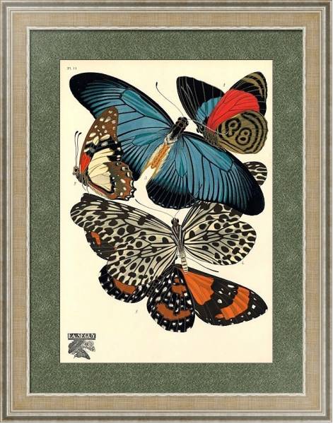 Постер Papillons by E. A. Seguy №3 с типом исполнения Акварель в раме в багетной раме 485.M40.584