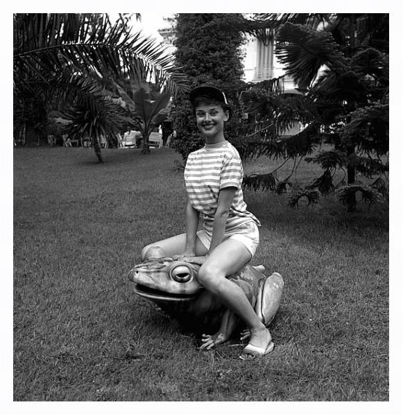 Постер Hepburn, Audrey 68 с типом исполнения На холсте в раме в багетной раме 221-03