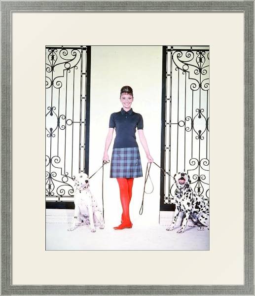 Постер Хепберн Одри 104 с типом исполнения Под стеклом в багетной раме 1727.2510