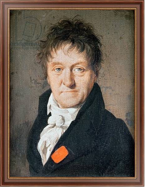 Постер Portrait of Lazare Nicolas Marguerite Carnot 1813 с типом исполнения На холсте в раме в багетной раме 35-M719P-83
