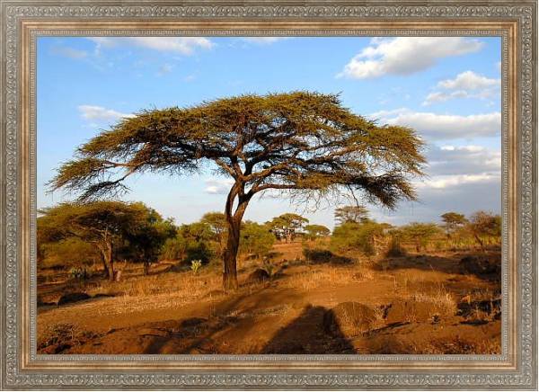 Постер Кения, Африка. Национальный парк с типом исполнения На холсте в раме в багетной раме 484.M48.310