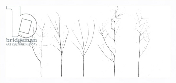Постер Territori Innevati - cinque alberi giorno, 2012, photographic contamination с типом исполнения На холсте в раме в багетной раме 221-03
