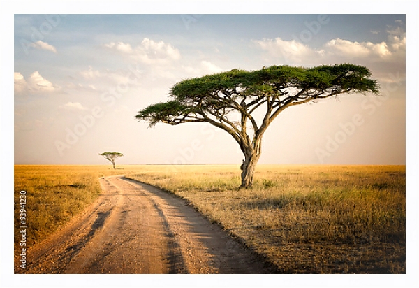 Постер Африканский пейзаж, Танзания с типом исполнения На холсте в раме в багетной раме 221-03
