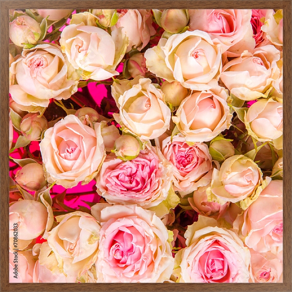 Постер Розы. Розовое облако. с типом исполнения На холсте в раме в багетной раме 1727.4310