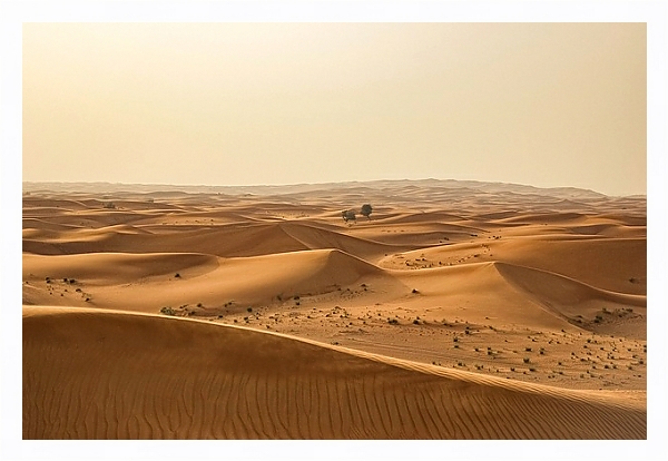 Постер Пески пустыни 1 с типом исполнения На холсте в раме в багетной раме 221-03