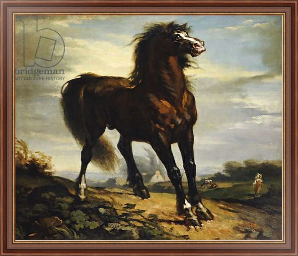 Постер The Horse с типом исполнения На холсте в раме в багетной раме 35-M719P-83
